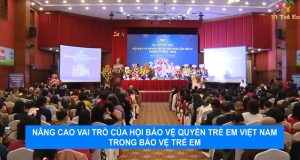 Nâng cao vai trò của Hội BV quyền trẻ em Việt Nam trong bảo vệ trẻ em